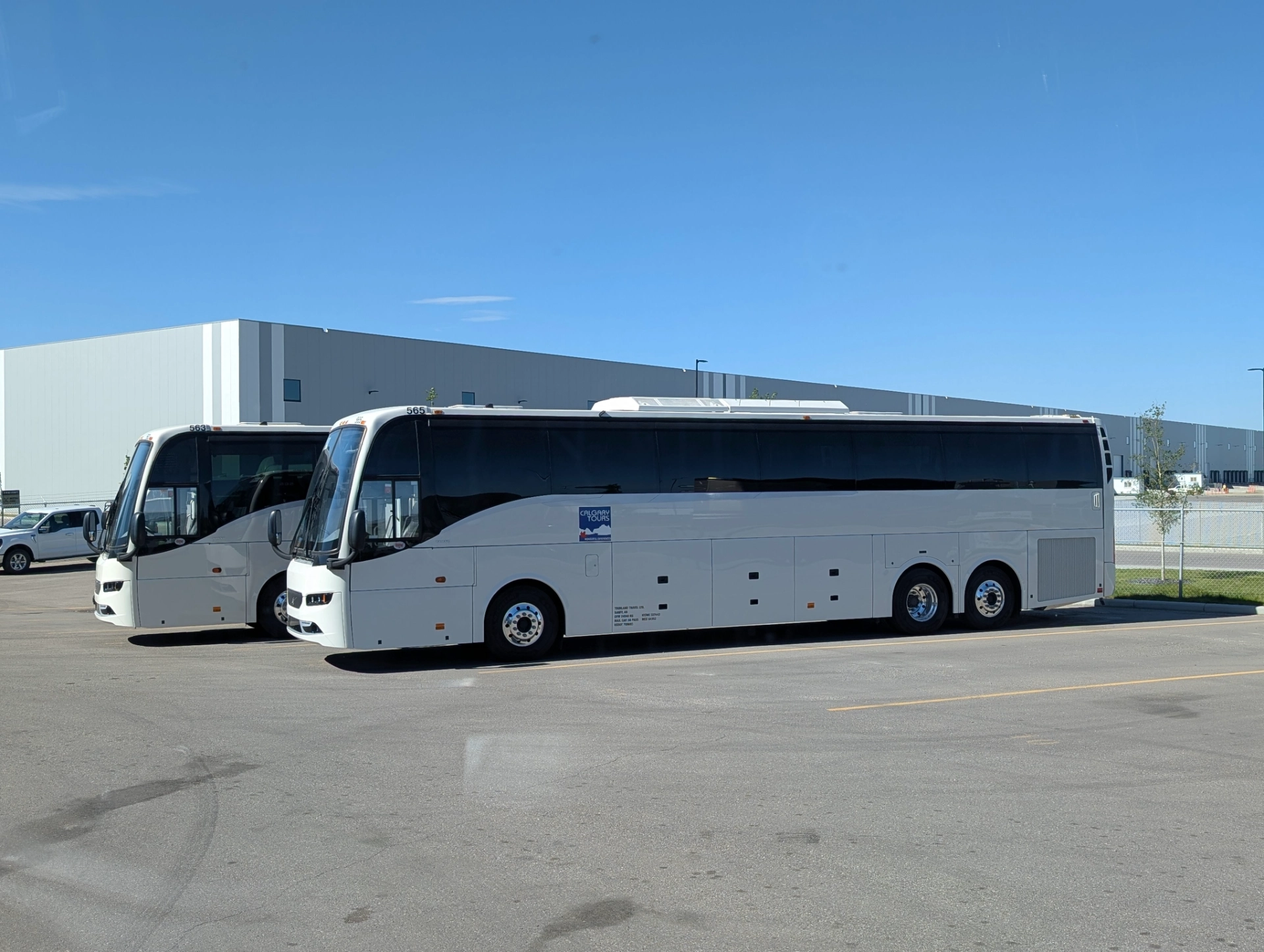 Coach