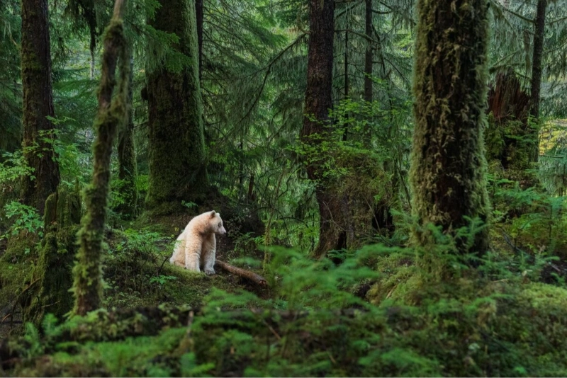 British Columbia